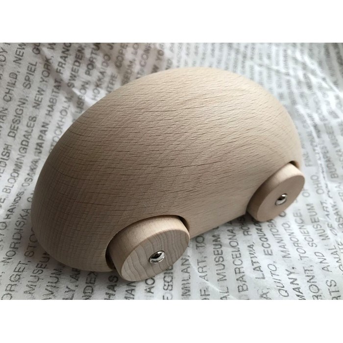 Streamliner wooden nature car